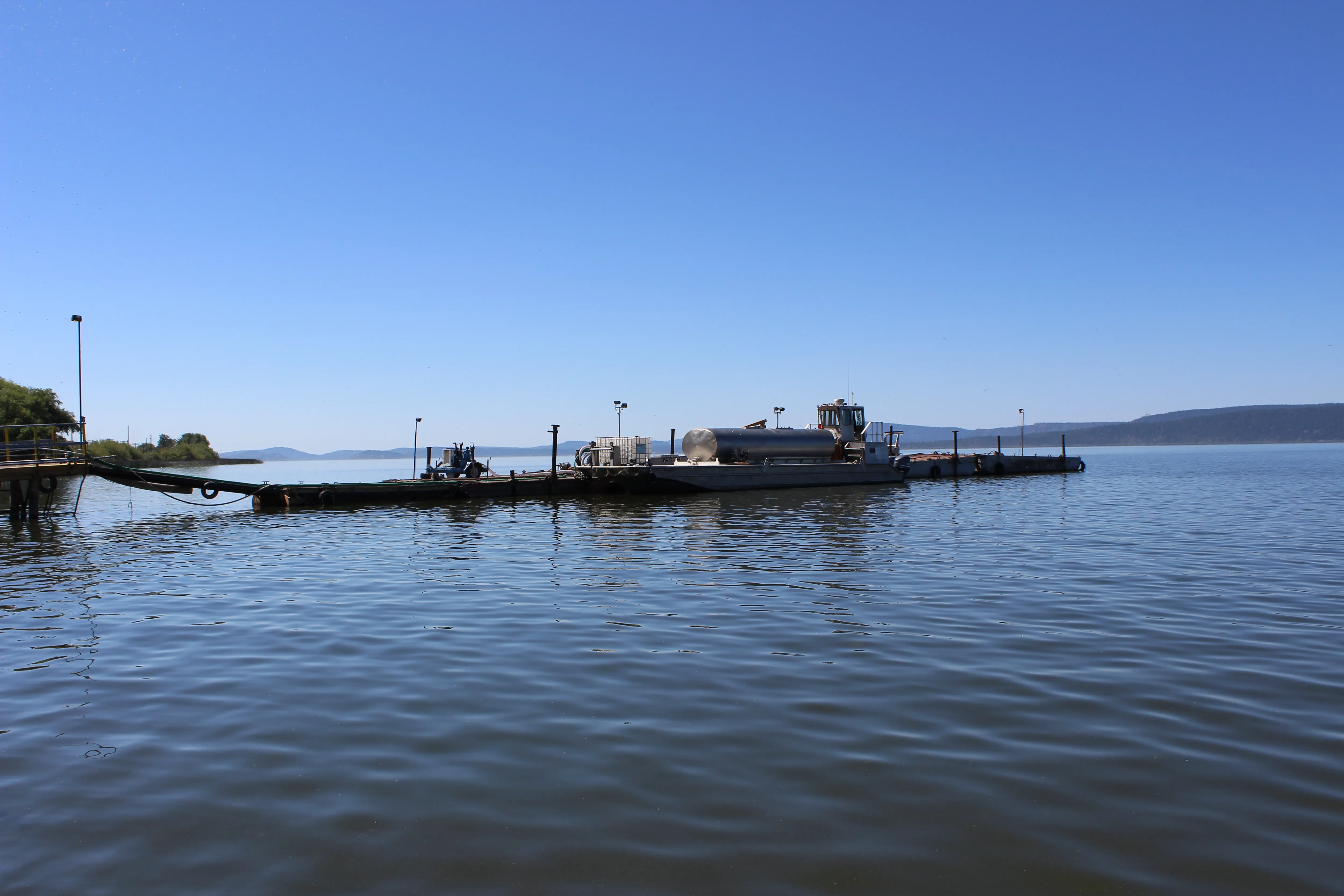 ブルーグリーンアルジーを飲む女性
