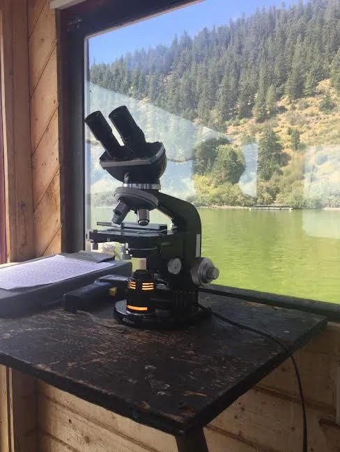 品質をチェックしている様子