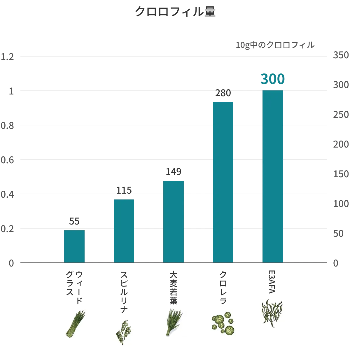 クロロフィル量の図